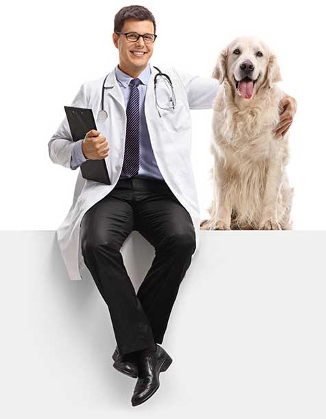 Vet with dog